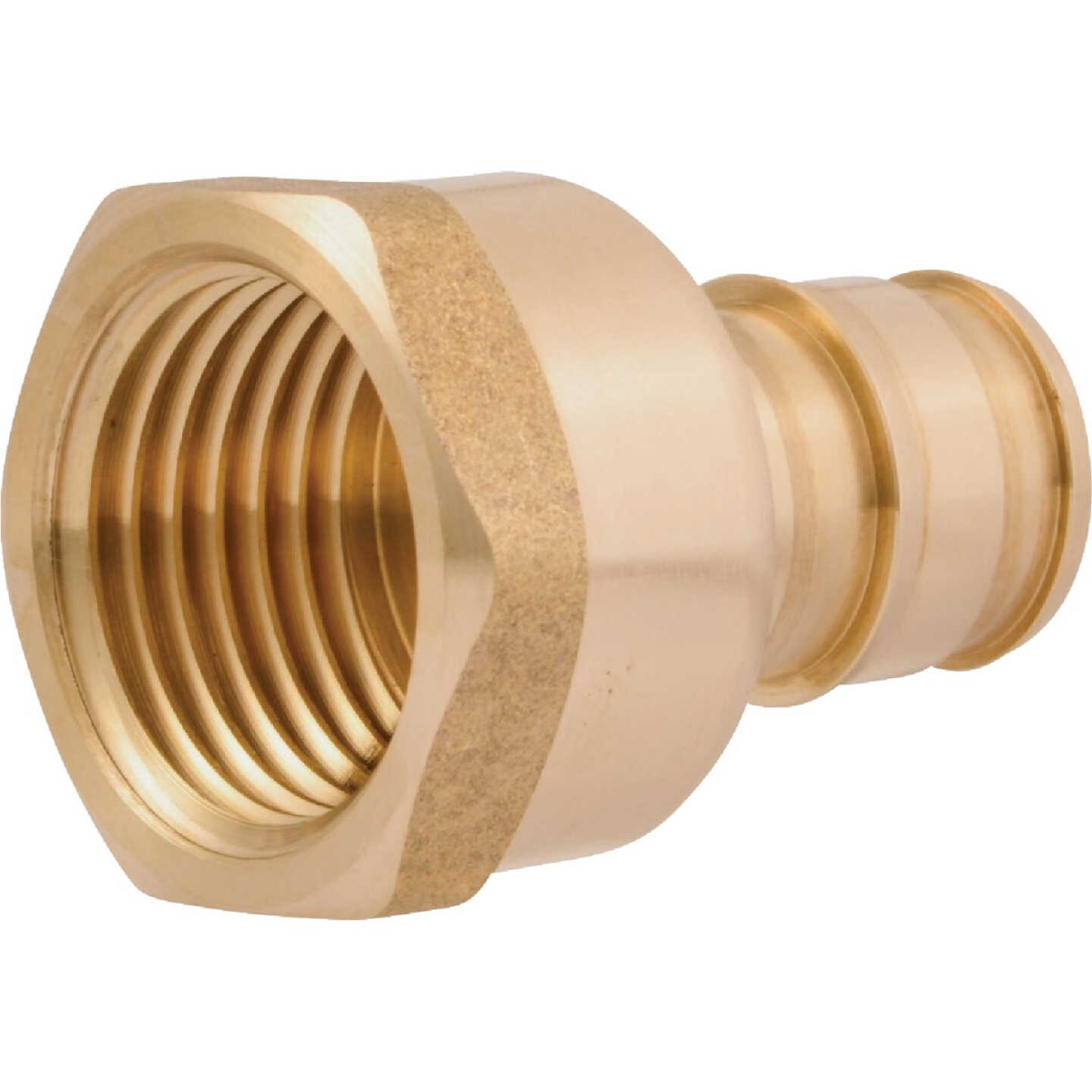 SharkBite 1/2 In. PEX-A x 1/2 In. FNPT Brass Adapter Image 1