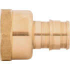 SharkBite 1/2 In. PEX-A x 1/2 In. FNPT Brass Adapter Image 4