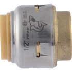 SharkBite 1/2 In. Push-to-Connect Brass End Push Cap (4-Pack) Image 7