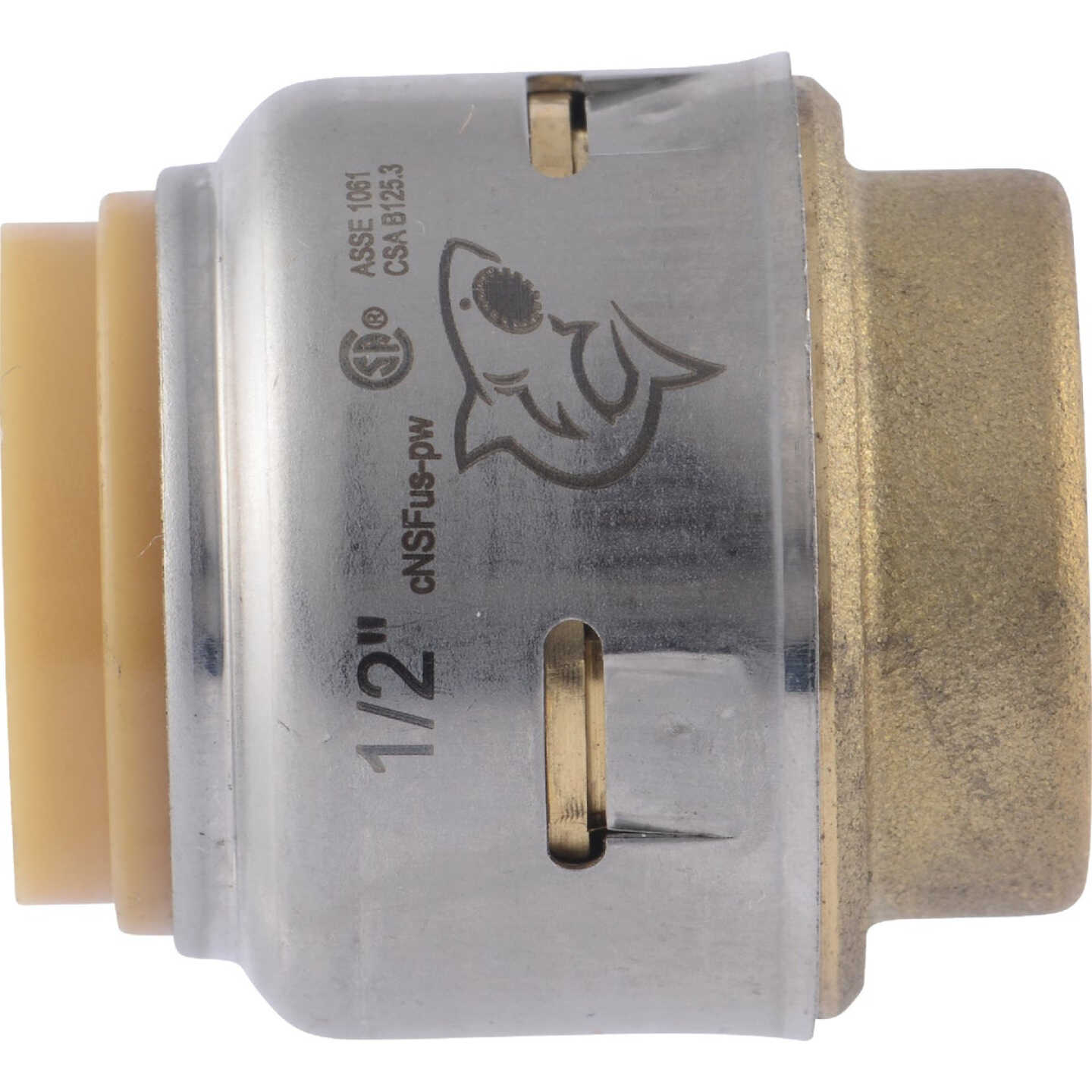 SharkBite 1/2 In. Push-to-Connect Brass End Push Cap (4-Pack) Image 7