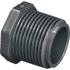 Charlotte Pipe 1 In. Gray PVC Schedule 80 Male Pipe Thread Plug Image 1
