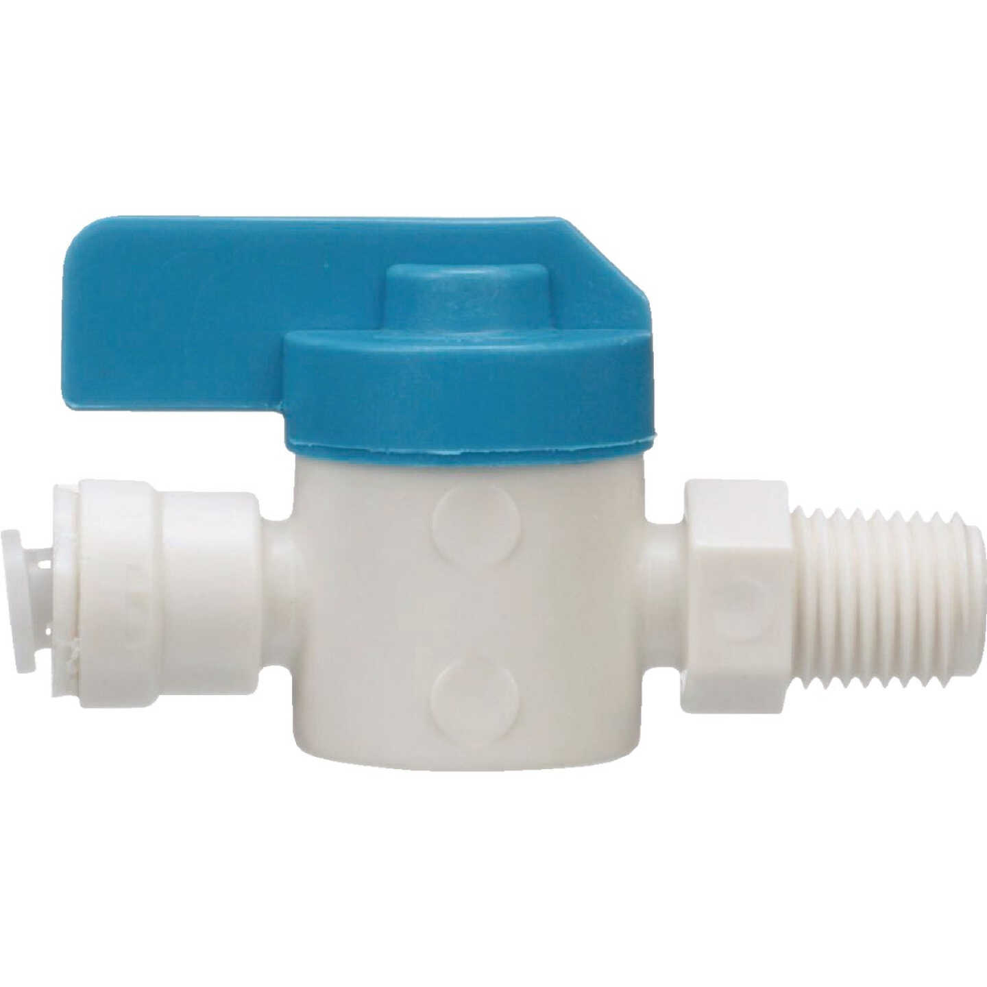 Watts Aqualock 1/4 In. x 1/4 In. MNPT Straight Push-to-Connect Plastic Valve Image 1