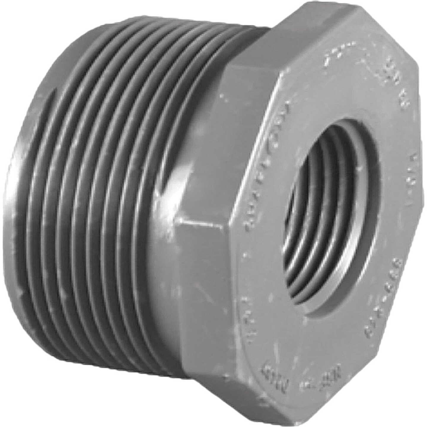 Charlotte Pipe 2 In. MPT x 1-1/4 In. FPT Schedule 80 Reducing PVC Bushing Image 1