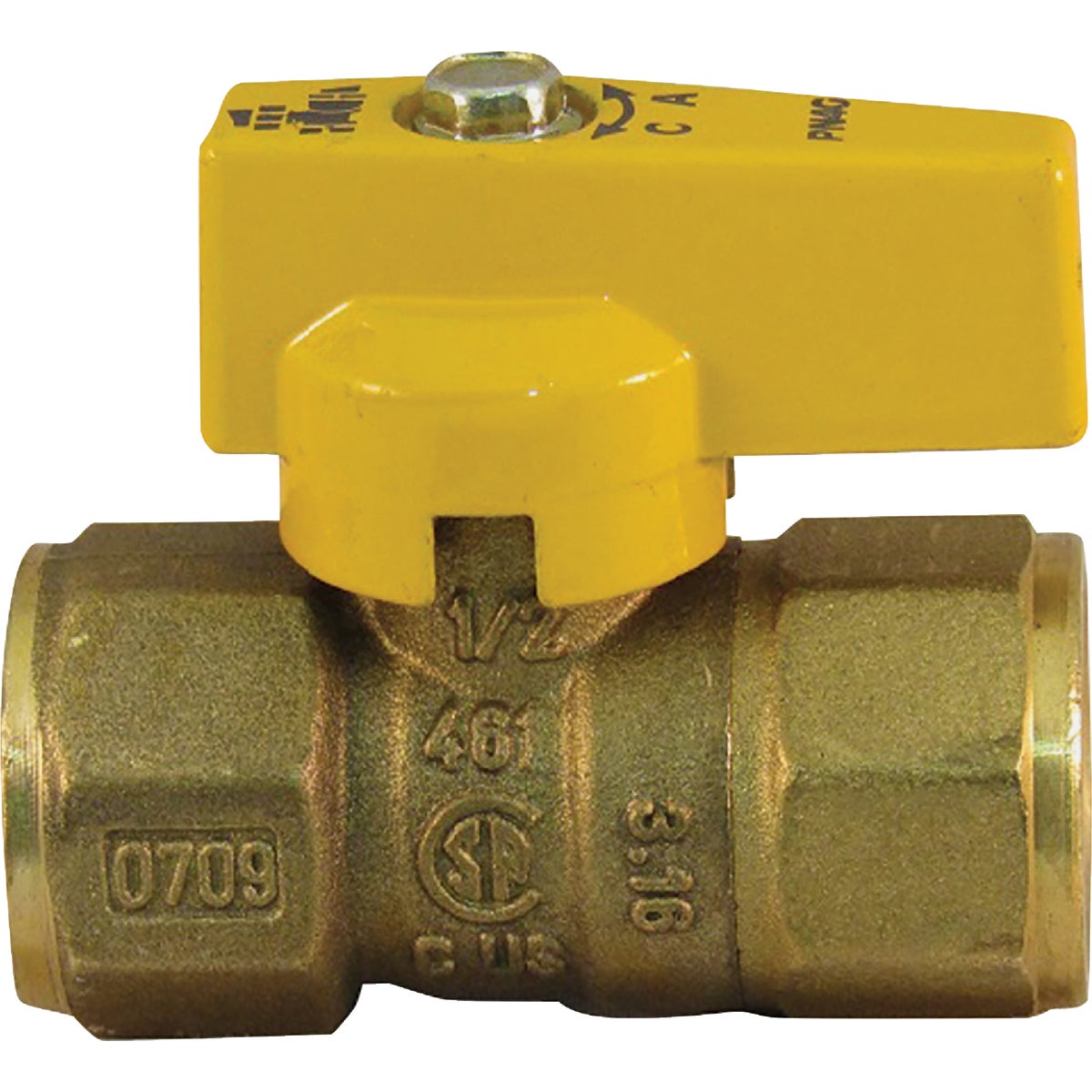 Pro-Flex 3/4 In. FIP X 5/8 In. Flare Brass Gas Valve