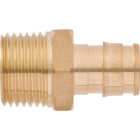 SharkBite 1/2 In. PEX-A x 1/2 In. MNPT Brass Adapter Image 3