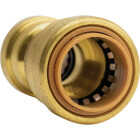 QuickFitting 3/4 In. x 1/2 In. Push-to-Connect Brass Reducing Coupling Image 5