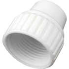 Flair-It 3/4 In. Plastic Compression PEX Cap Image 1