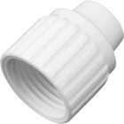 Flair-It 3/8 In. Plastic Compression PEX Cap Image 1