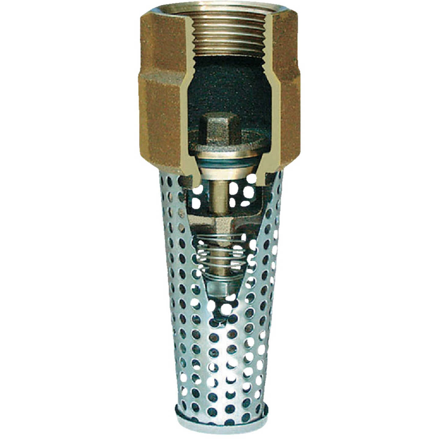 Simmons 1 In. Silicon Bronze Foot Valve, Lead Free Image 1
