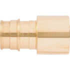 SharkBite PEX-A Brass 3/4 In. x 3/4 In. FSWT Sweat Adapter Image 4