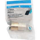 SharkBite PEX-A Brass 3/4 In. x 3/4 In. FSWT Sweat Adapter Image 2