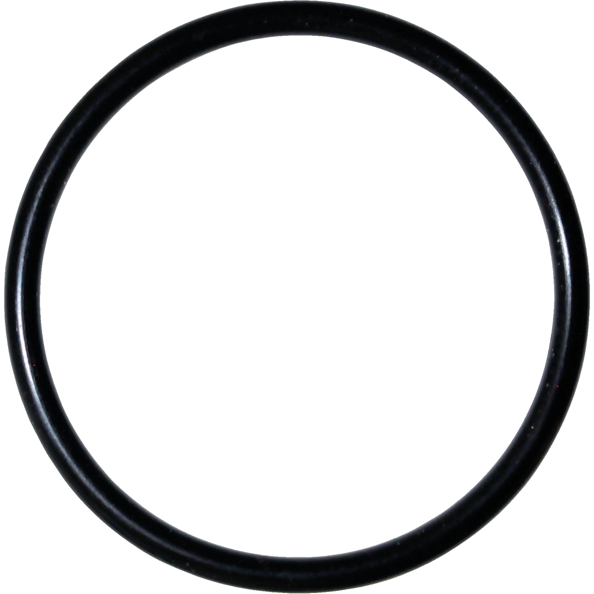 Danco #81 1 In. x 1-1/8 In. Buna-N O-Ring Image 1