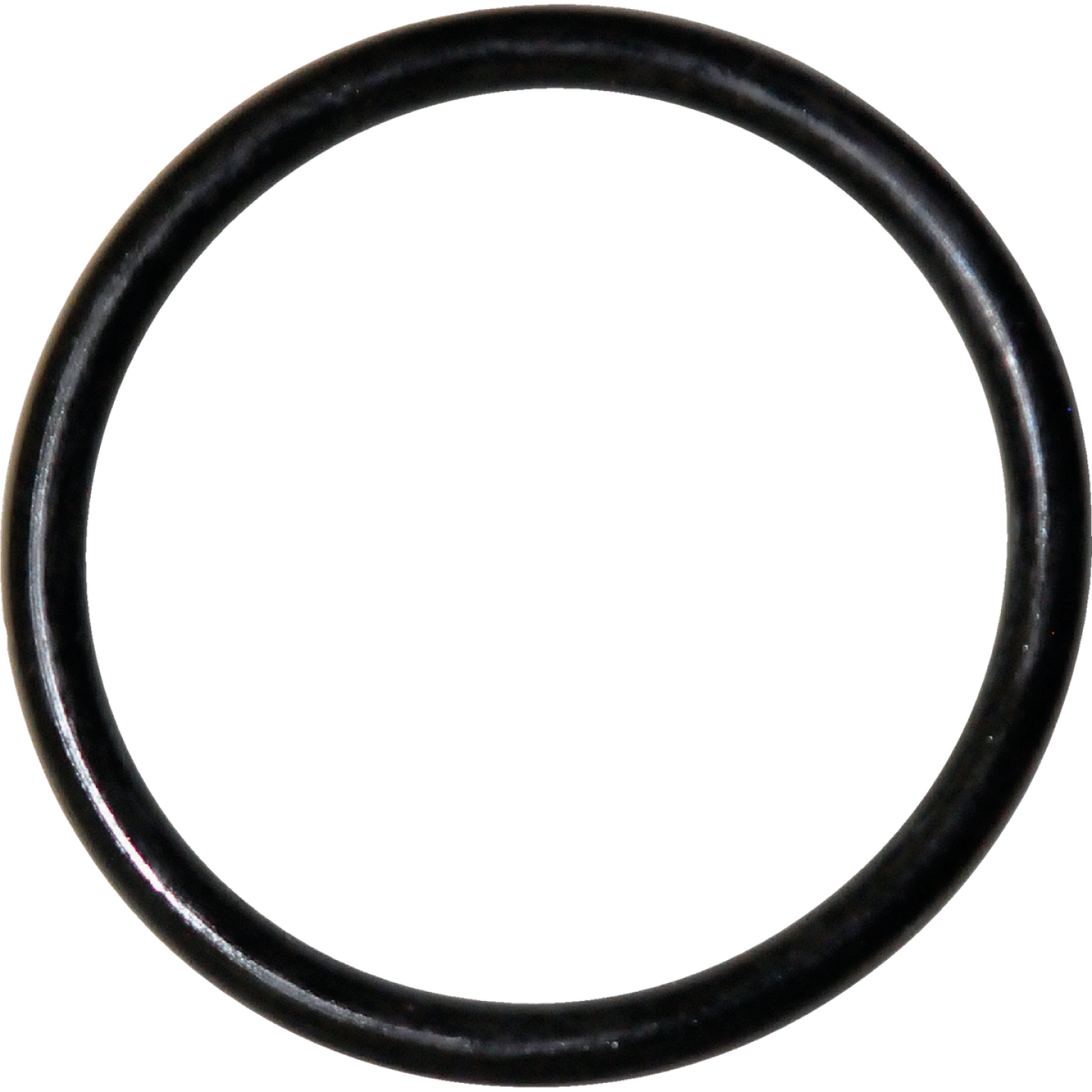 Danco #77 1-1/16 In. x 1-1/4 In. Buna-N O-Ring Image 1