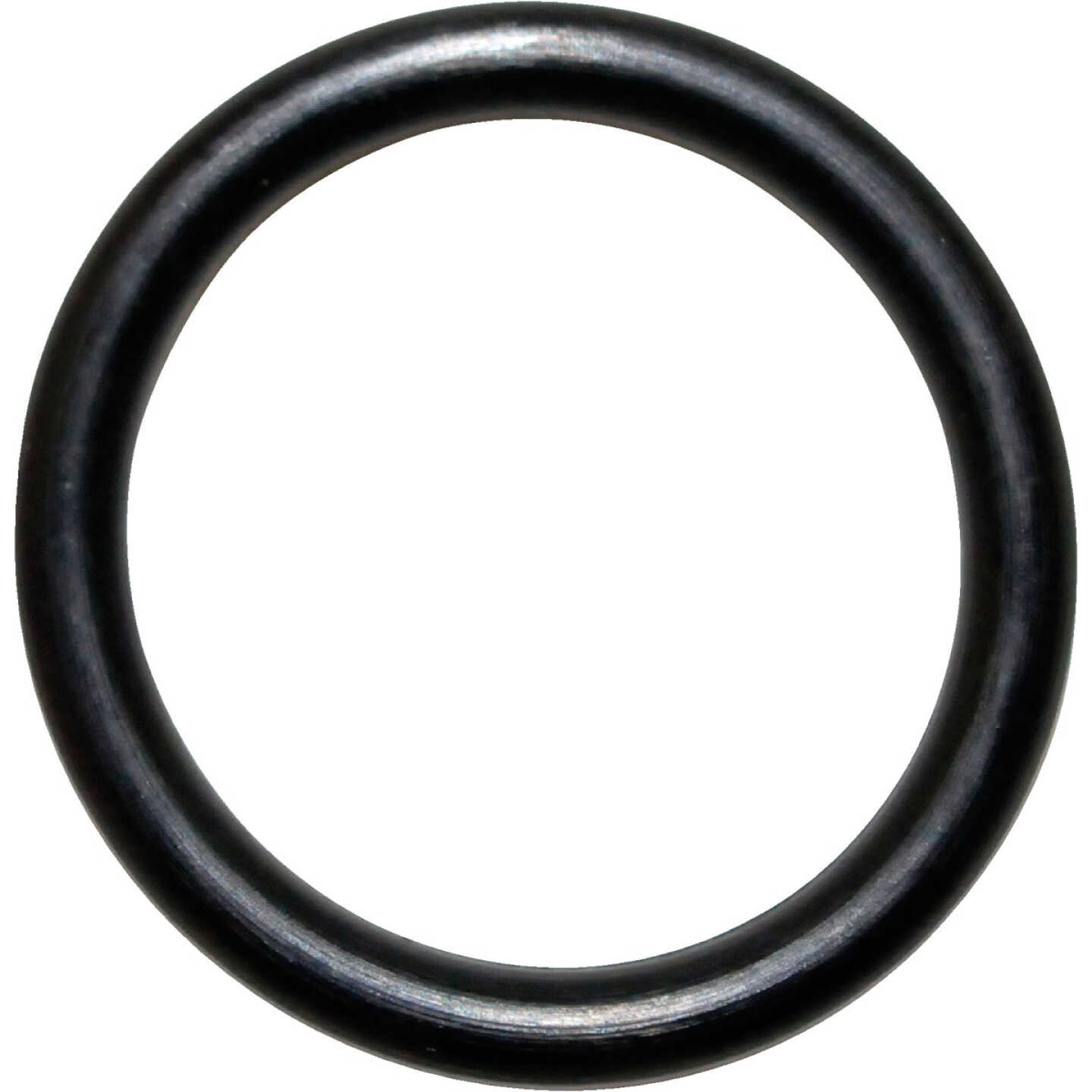 Danco #21 15/32 In. x 5/8 In. Buna-N O-Ring Image 1