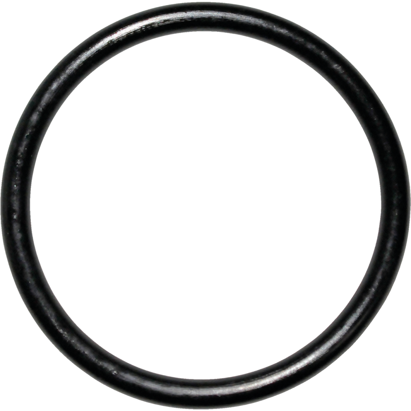 Danco #45 1-3/16 In. x 1-3/8 In. Buna-N O-Ring Image 1