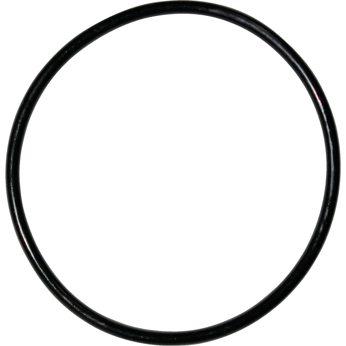 Danco #51 1-1/2 In. x 1-5/8 In. Buna-N O-Ring Image 1