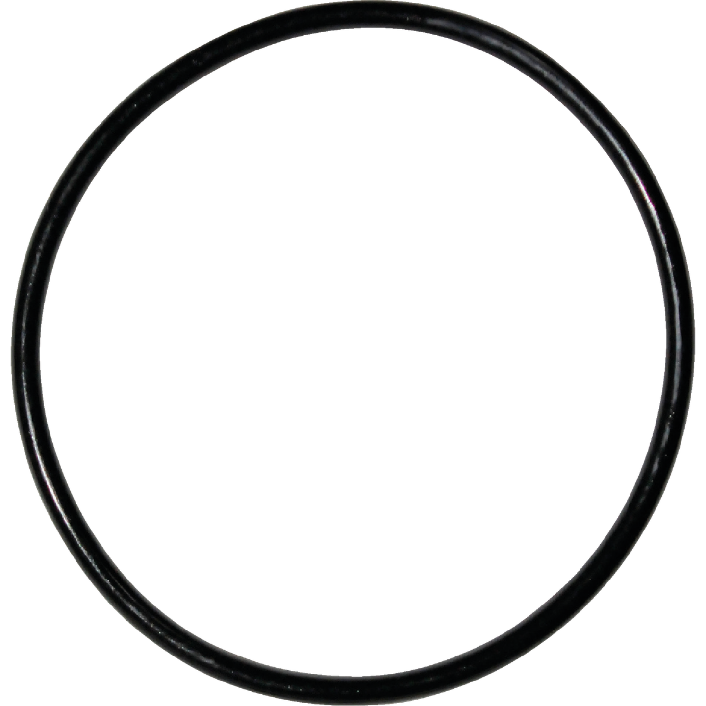 Danco #51 1-1/2 In. x 1-5/8 In. Buna-N O-Ring Image 1