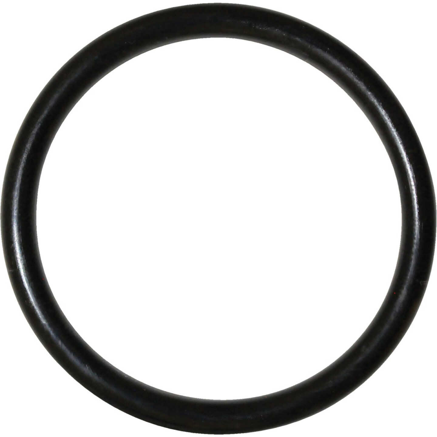 Danco #97 1-3/8 In. x 1-5/8 In. Buna-N O-Ring Image 1