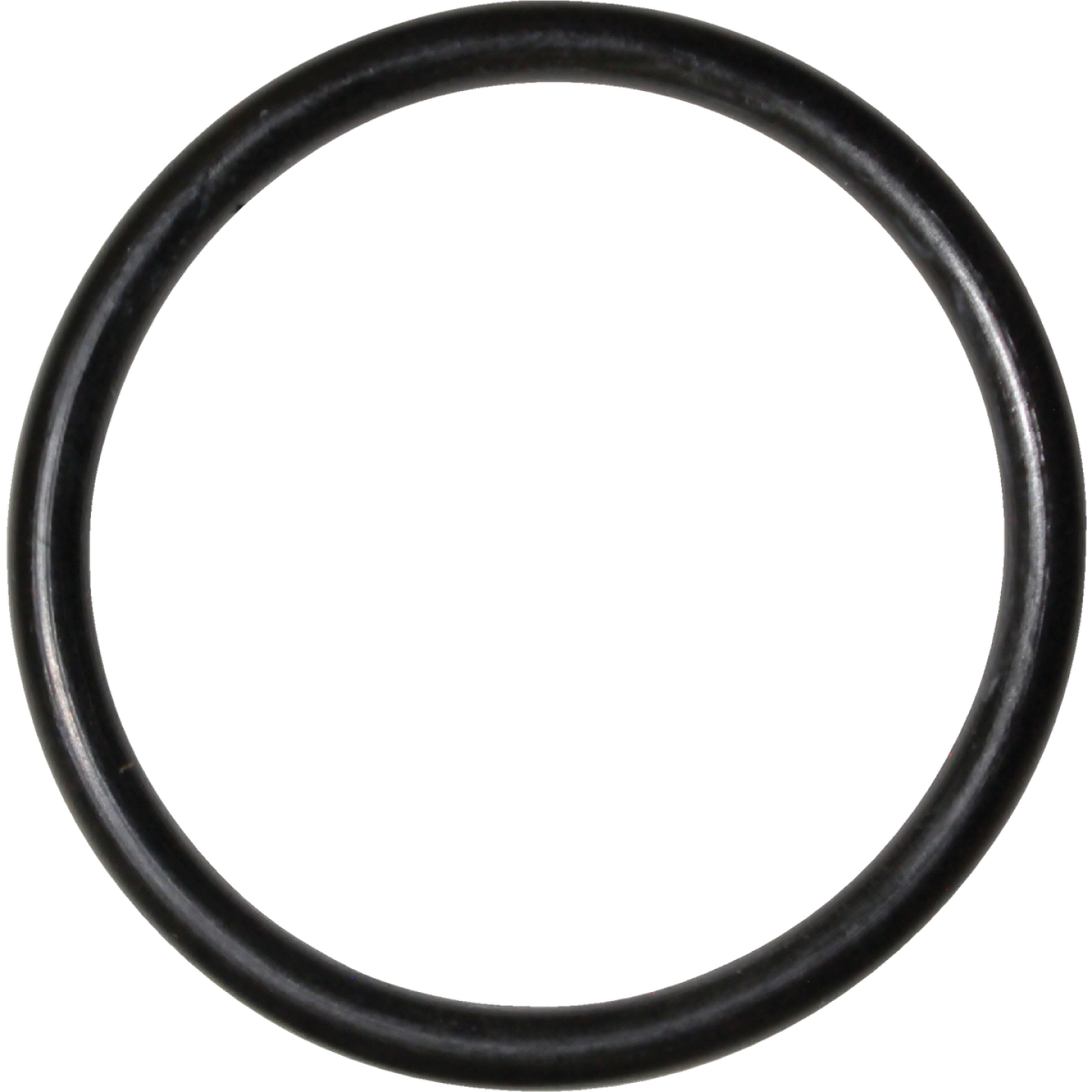 Danco #99 1-1/2 In. x 1-3/4 In. Buna-N O-Ring Image 1