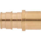 SharkBite PEX-A Brass 1/2 In. x 1/2 In. MSWT Sweat Adapter Image 4