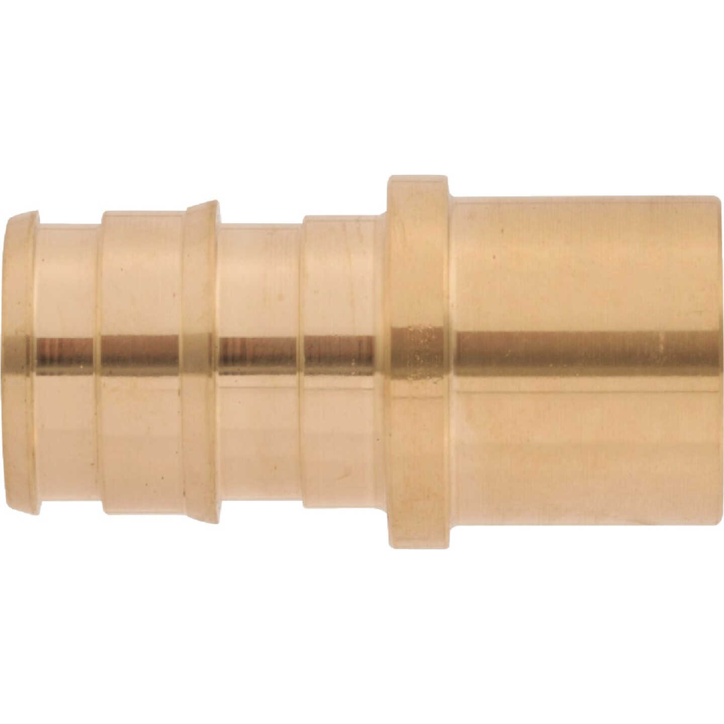 SharkBite PEX-A Brass 1/2 In. x 1/2 In. MSWT Sweat Adapter Image 4