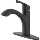 Home Impressions 1-Handle Pull-Out Kitchen Faucet, Matte Black Finish Image 1