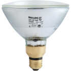 60W PAR SPT HALOGEN BULB Image 3