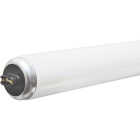 95W 8' T12 CW/HO TUBE Image 1