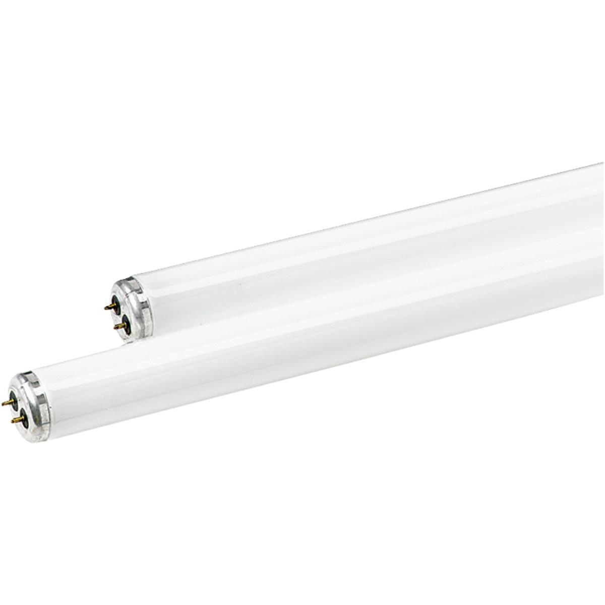 Philips 40W 48 In. Daylight T12 Medium Bi-Pin Fluorescent Tube Light Bulb (2-Pack) Image 1