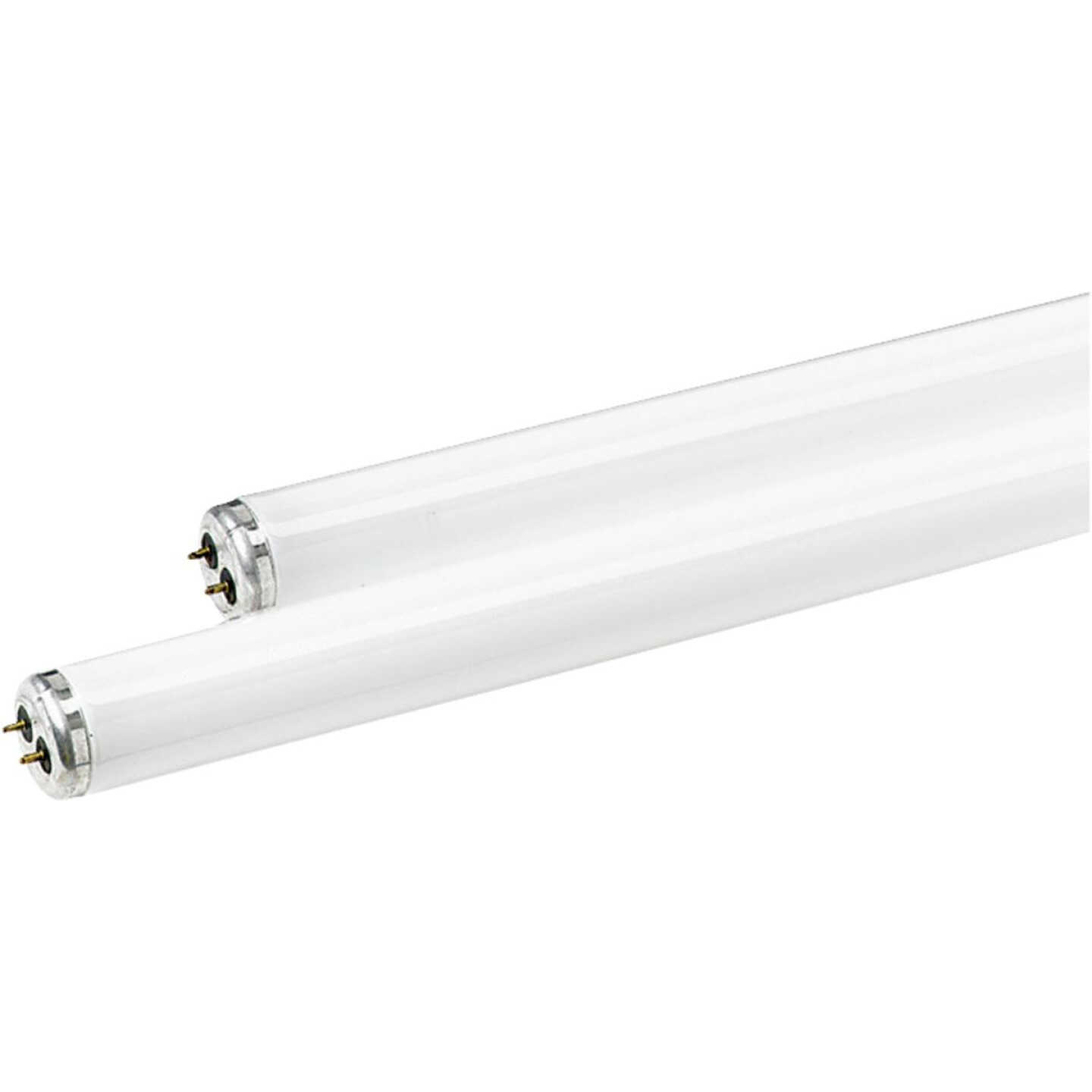 Philips 40W 48 In. Daylight T12 Medium Bi-Pin Fluorescent Tube Light Bulb (2-Pack) Image 1