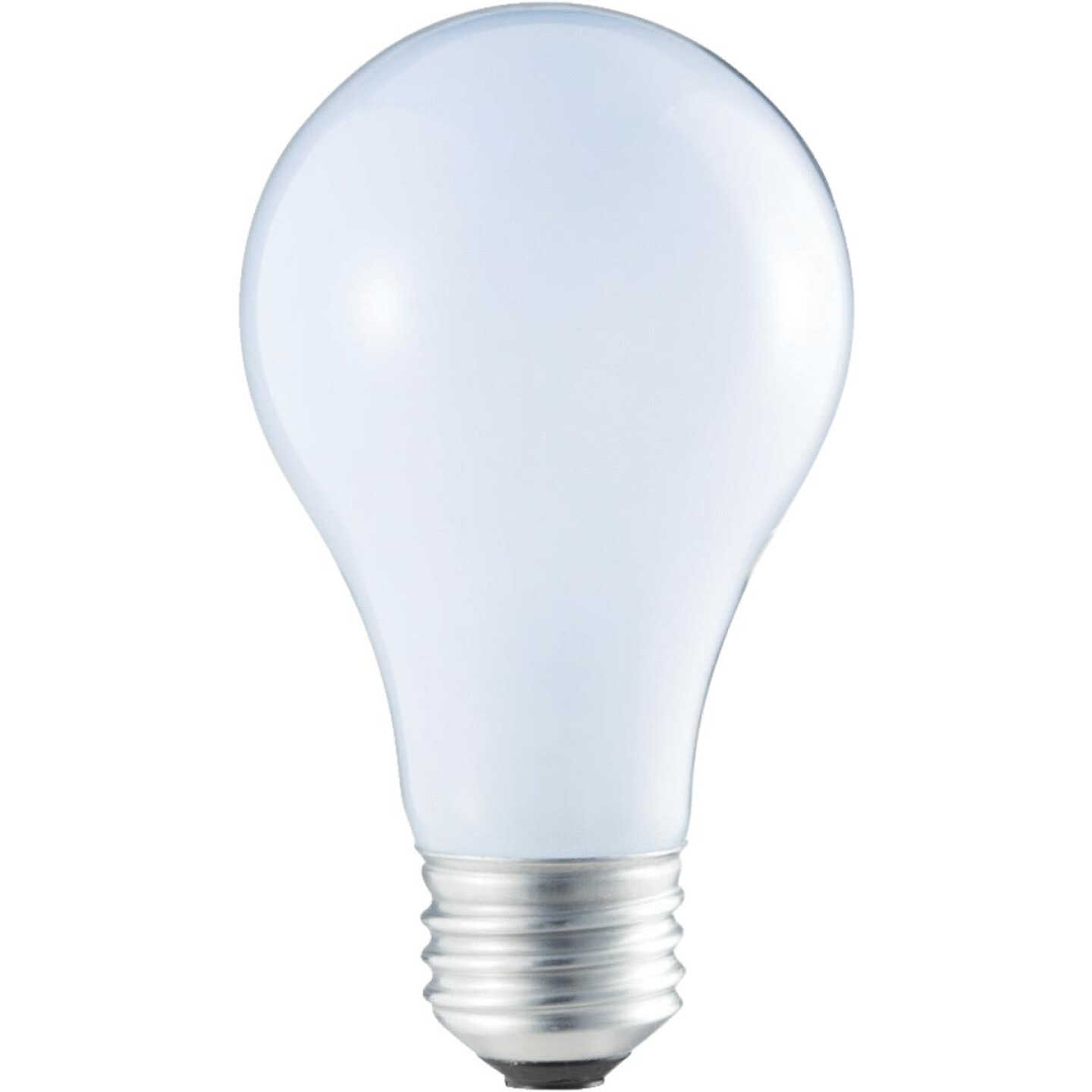 60W REVEAL HALOGEN BULB Image 3
