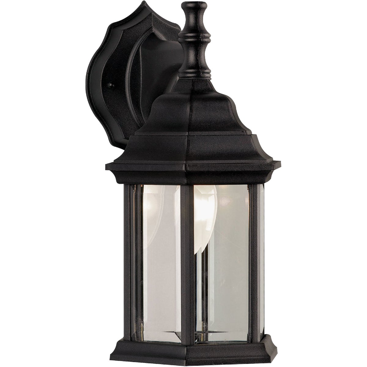 Canarm Black Incandescent Type A Outdoor Wall Light Fixture
