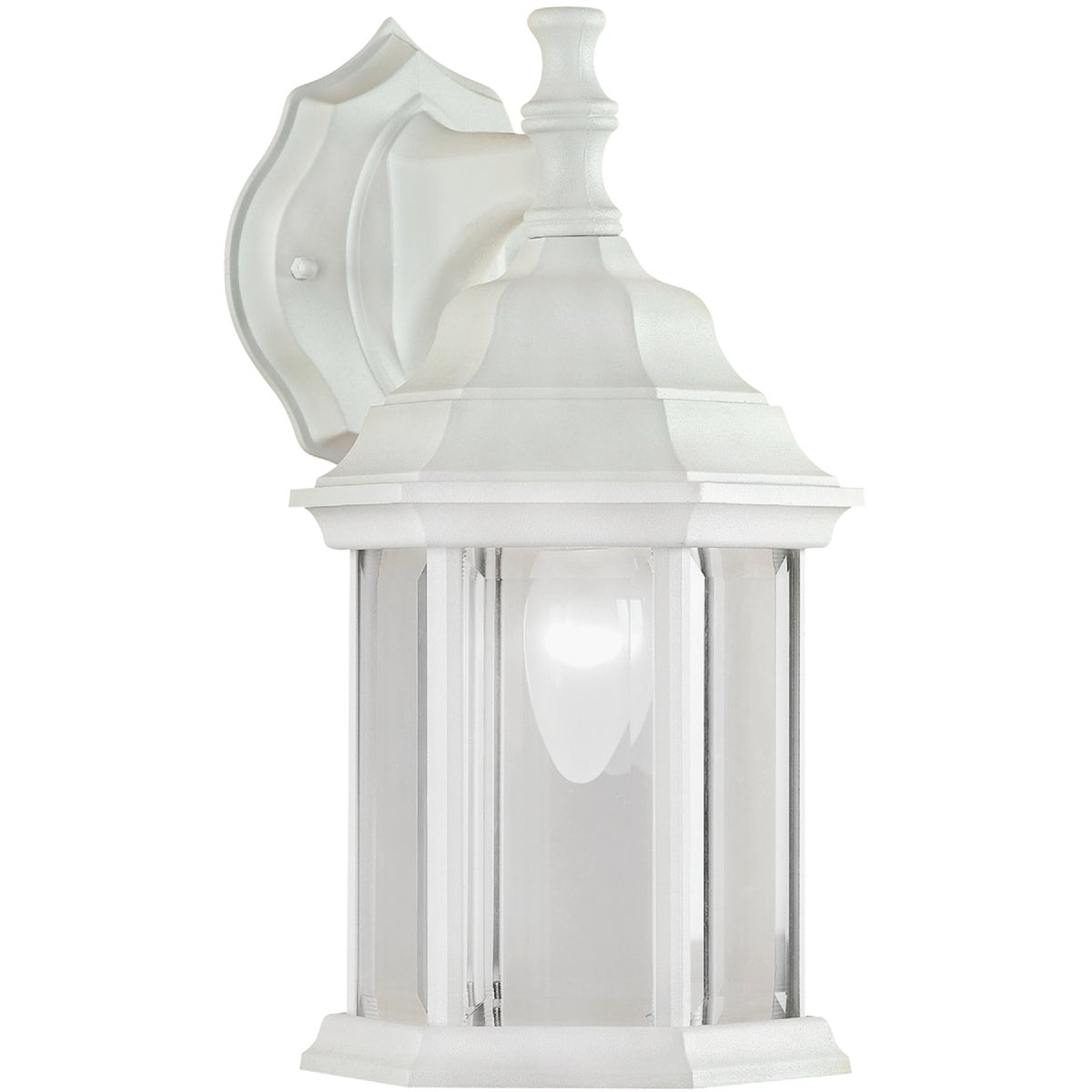 Canarm White Incandescent Type A Outdoor Wall Light Fixture