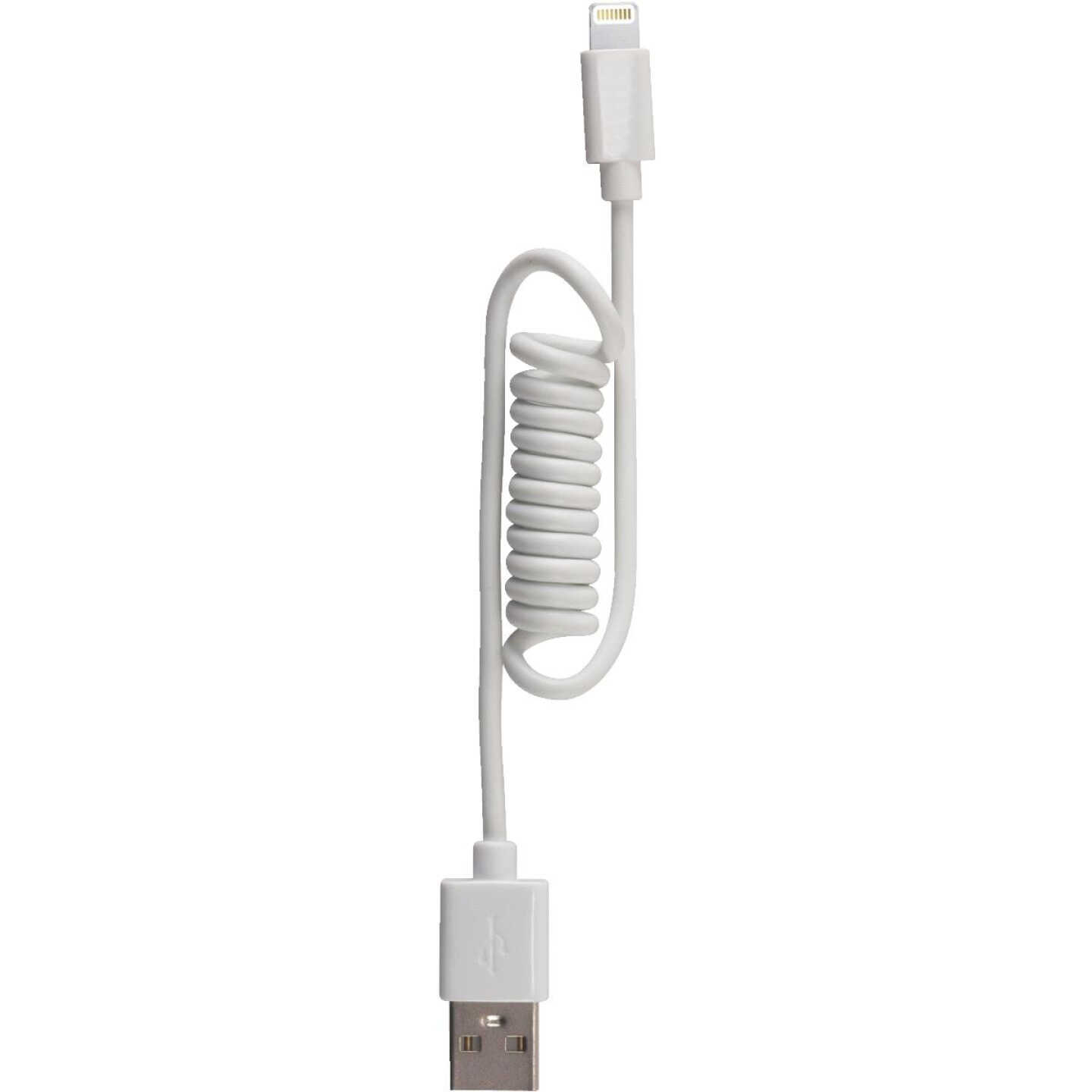 4' WHT LIGHTNG COIL CORD Image 2