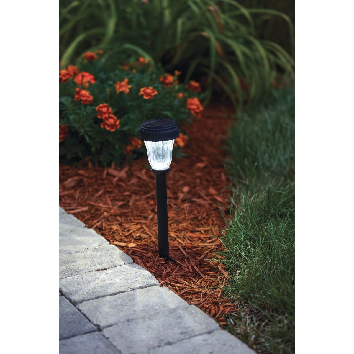 Outdoor Expressions Black 2.10 Lumens Plastic Solar Path Light Image 3