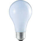 4PK 53W HAL REVEAL BULB Image 3