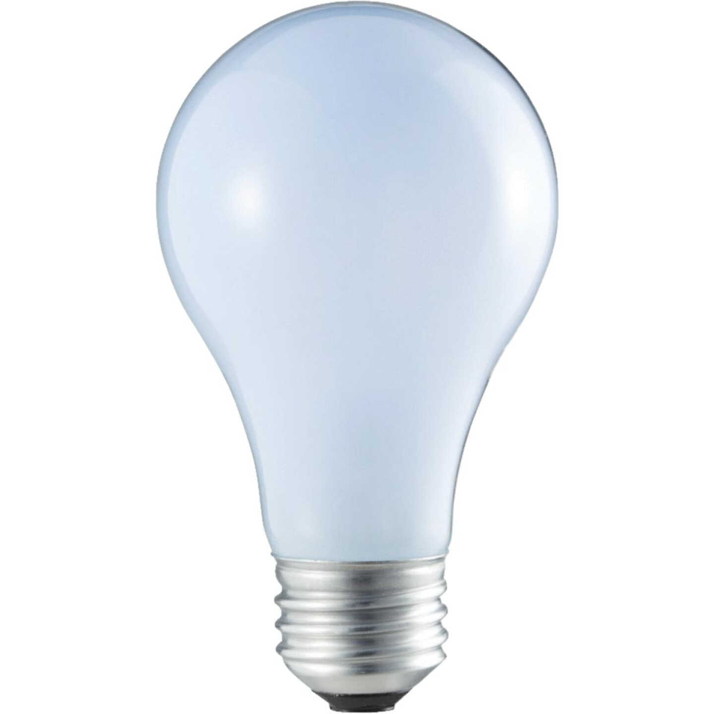 4PK 53W HAL REVEAL BULB Image 3