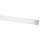 32W 48"T8 41K FLUOR TUBE Image 1