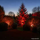 Philips 100W Equivalent Red PAR38 Medium LED Floodlight Light Bulb Image 2