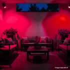 Philips 100W Equivalent Red PAR38 Medium LED Floodlight Light Bulb Image 5