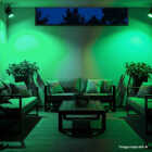 Philips 100W Equivalent Green PAR38 Medium LED Floodlight Light Bulb Image 4