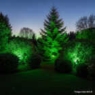 Philips 100W Equivalent Green PAR38 Medium LED Floodlight Light Bulb Image 2