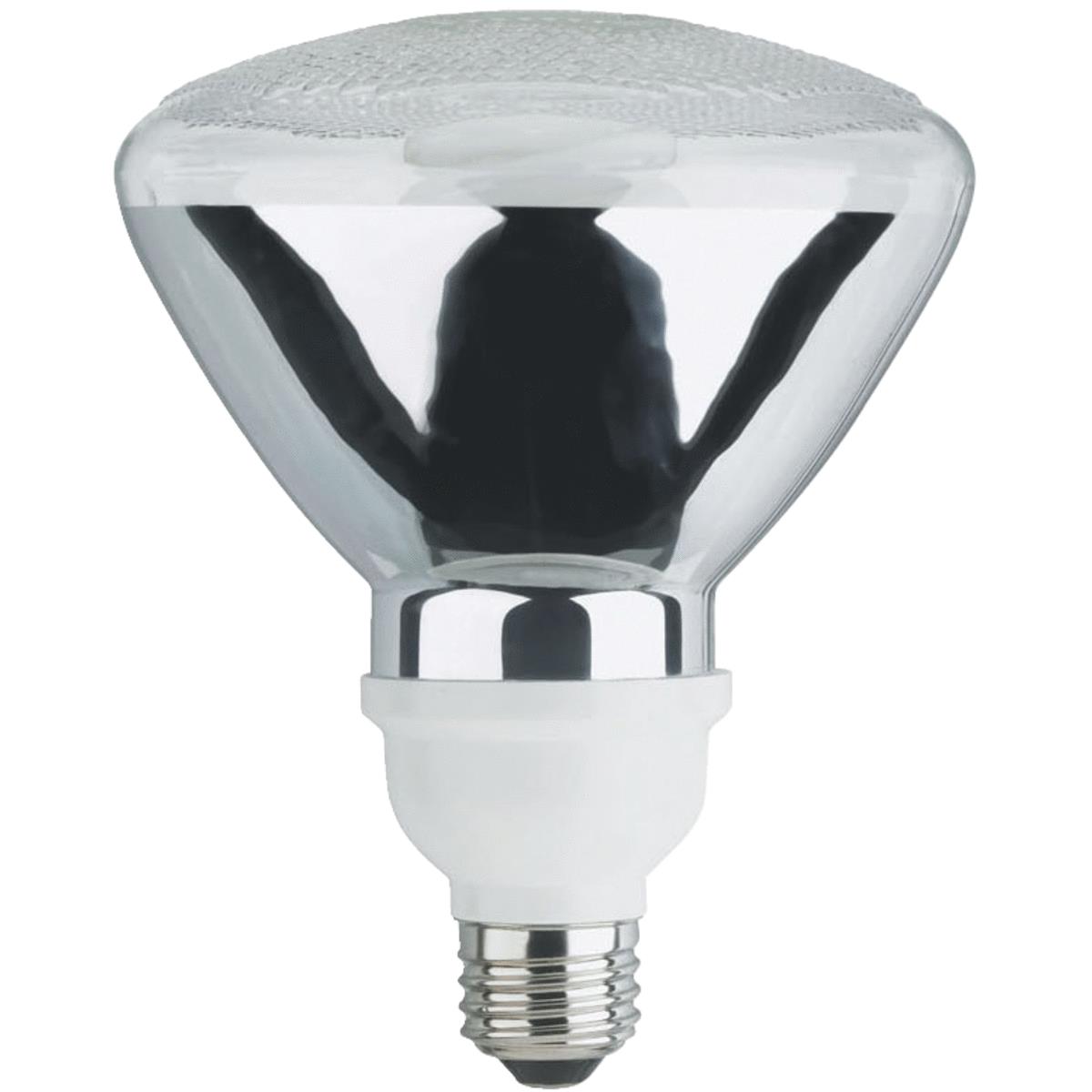 23W PAR38 FLUOR FLD BULB Image 1