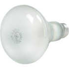 6PK 65W R30 REFLECTOR Image 2