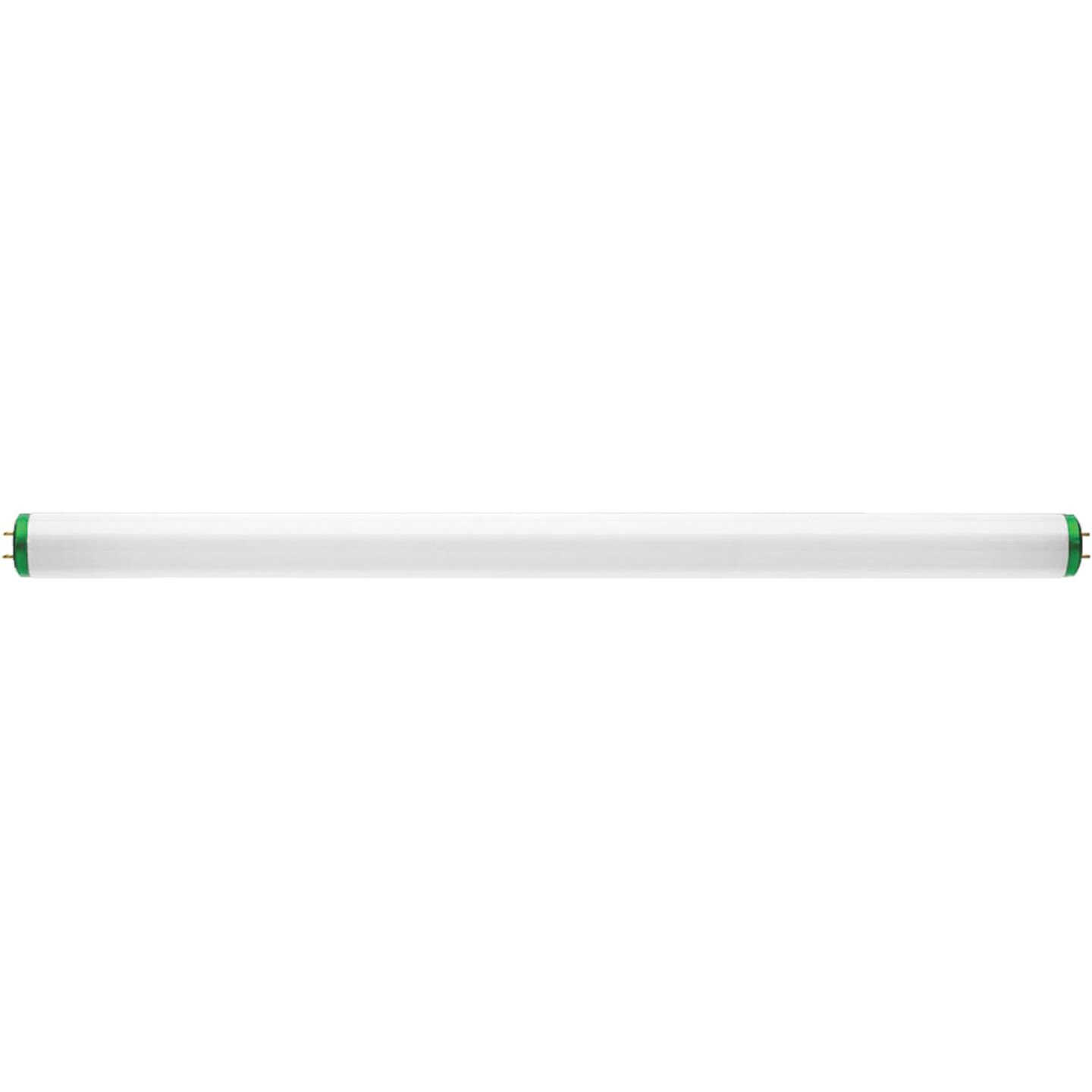 20W 24" T12CW FLUOR TUBE Image 3