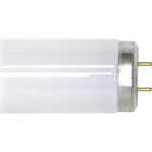 25W 33" T12CW FLUOR TUBE Image 1