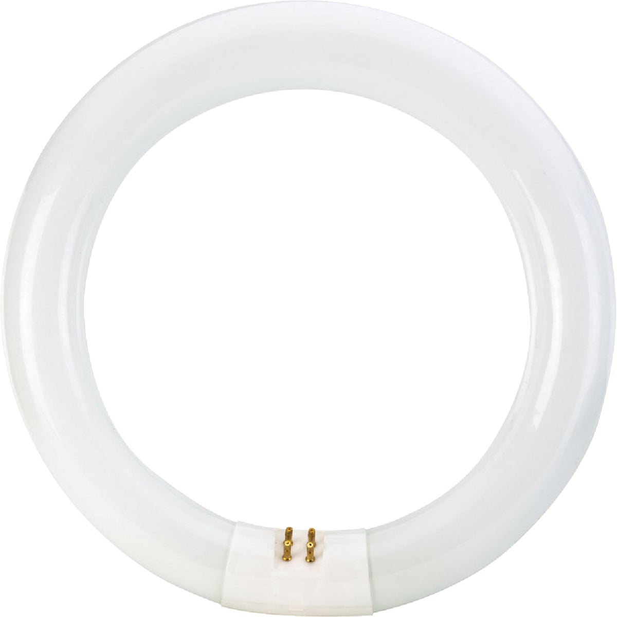 Philips 22W 8 In. Cool White T9 4-Pin Circline Fluorescent Tube Light Bulb Image 3
