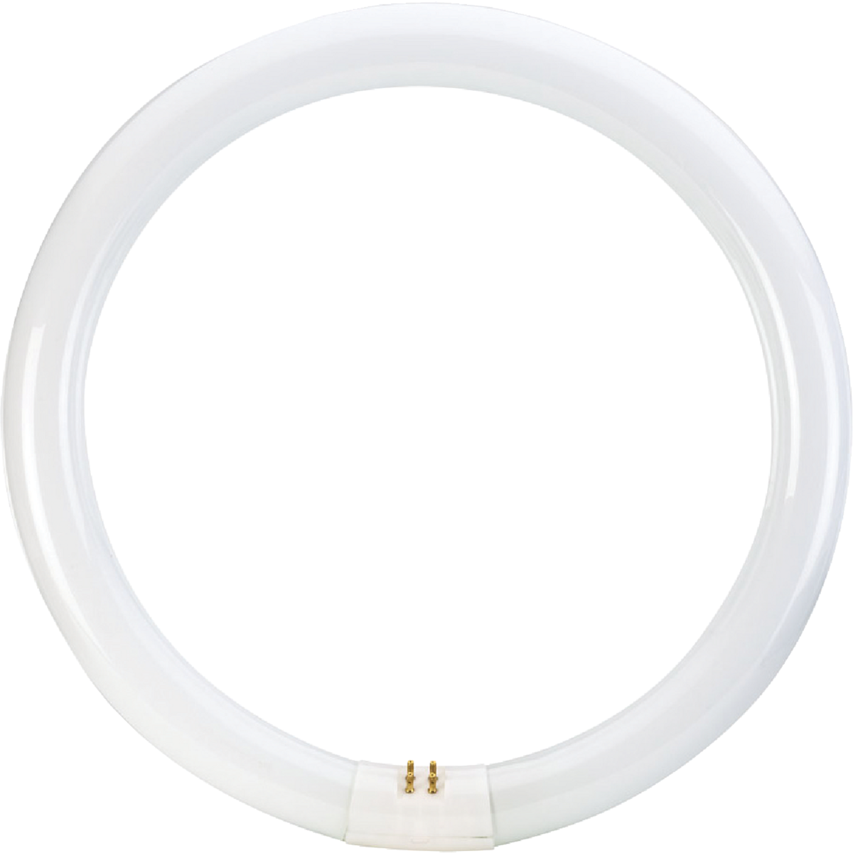 Philips 32W 12 In. Cool White T9 4-Pin Circline Fluorescent Tube Light Bulb Image 3