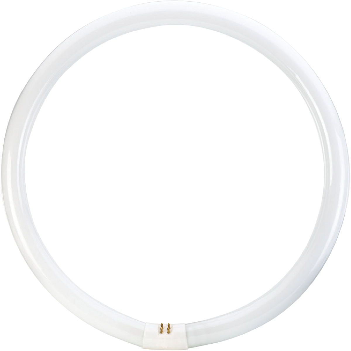 Philips 40W 16 In. Cool White T9 4-Pin Circline Fluorescent Tube Light Bulb Image 3