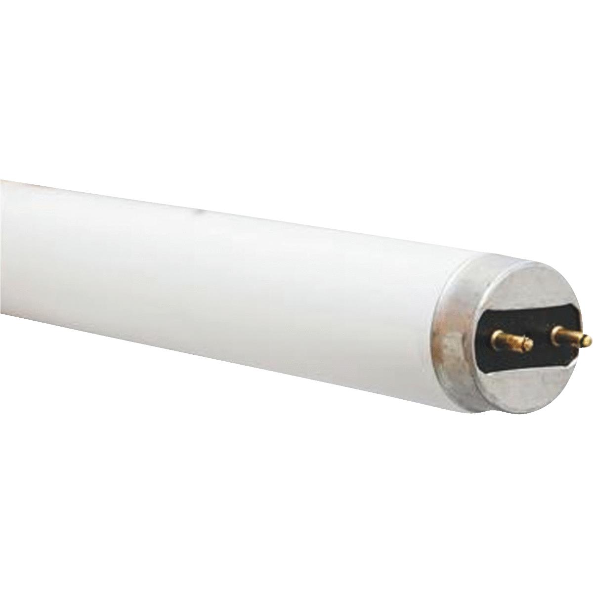 15W 18" T8 CW FLUOR TUBE